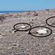 Tres cadáveres de pingüinos de Magallanes encontrados en Punta Tombo justo después de la ola de calor del 19 de enero de 2019